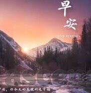 大满贯森林舞会破解版-大满贯森林舞会破解版，解锁自然与游戏的奇妙融合