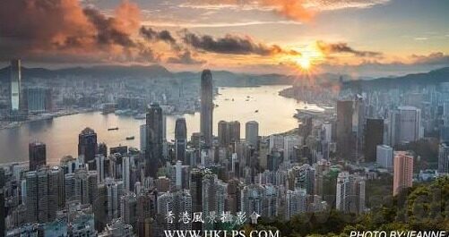 世界杯女排中国多米-世界杯女排中国对阵多米尼加，速度与力量的较量