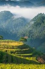 星空体育官网信用好0-星空体育官网，信誉至上，打造卓越体育体验